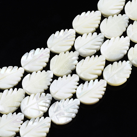 Natural Trochid Shell/Trochus Shell Beads Strands SSHEL-N034-136B-01-1