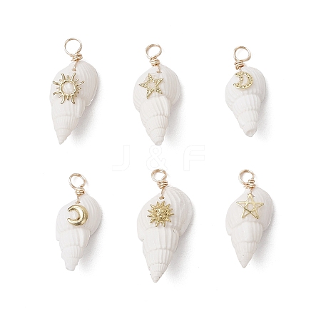 6Pcs 6 Styles Natural Shell Pendants PALLOY-JF03882-1