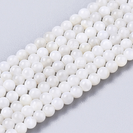 Natural Freshwater Shell Beads Strands X-BSHE-T009-01F-1