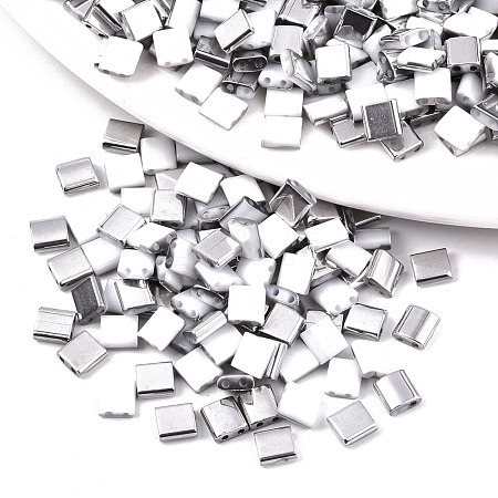 FGB 2-Hole Glass Seed Beads SEED-S031-L-ST41-K-1