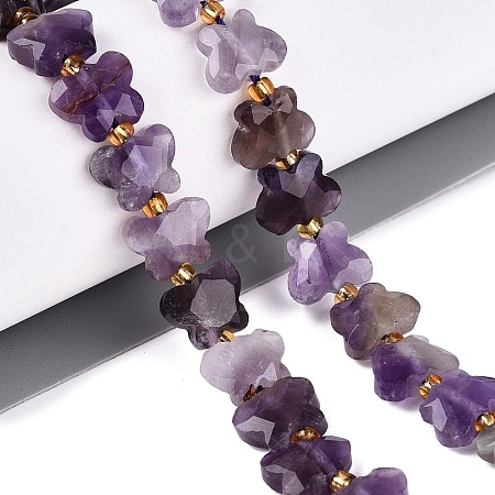 Natural Amethyst Beads Strands G-N371-10A-04-1