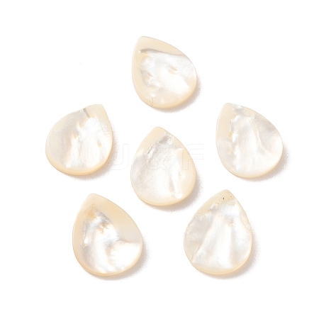 Natural White Shell Beads SSHEL-F305-01A-1