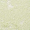 Baking Paint Glass Seed Beads SEED-S042-05B-63-3