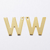 304 Stainless Steel Charms LS-X-STAS-P141-W-2