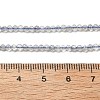 Natural Labradorite Beads Strands G-RM241221-A10-4