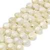 Natural Moonstone Beads Strands G-H005-B08-01-1