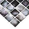 Natural Black Lip Mosaic Tiles Cabochons SHEL-Q029-10-2
