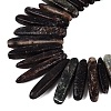 Natural Biotite Beads Strands G-Q616-06A-3
