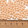 Baking Painted Glass Seed Beads SEED-C004-04J-4