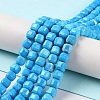 Natural Howlite Beads Strands G-G001-A01-01-2