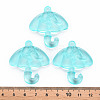 Transparent Acrylic Pendants TACR-T024-01B-946-4