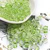 Spray Painted Glass Seed Beads SEED-A034-01F-1