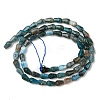 Natural Apatite Beads Strands G-C080-B06-01A-2