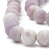 Natural Lepidolite/Purple Mica Stone Beads Strands G-T106-294-2