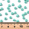 6/0 Glass Seed Beads SEED-S058-A-F439-4