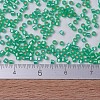 MIYUKI Delica Beads SEED-X0054-DB0691-4