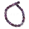 Natural Weathered Agate Beads Strands G-NH0047-B08-02-3