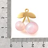 304 Stainless Steel Acrylic Pendants STAS-E549-01G-03-3