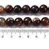 Natural Mexico Crazy Agate Beads Strands G-L615-A01-03-4