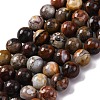 Natural Mexico Crazy Agate Beads Strands G-L615-A01-02-4