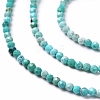 Natural HuBei Turquoise Beads Strands G-G991-A02-3