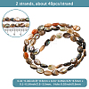 2 Strands Natural Paua Shell Beads Strands BSHE-PA0001-09-2
