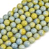 Handmade Lampwork Beads Strand LAMP-B056-8mm-15-2