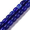 Handmade Lampwork Beads Strands LAMP-K041-01B-21-1