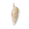 Natural Spiral Shell Pendants PALLOY-JF02951-3