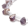 Natural Amethyst Beads Strands G-Q167-A04-02-3