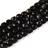 Natural Golden Sheen Obsidian Beads Strands G-N342-110-1