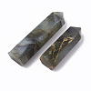 Natural Labradorite Beads G-T104-03A-2