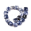 Natural Blue Spot Jasper Beads Strands G-T138-172-2