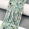 Natural Flower Amazonite Beads Strands G-M438-A08-01-2