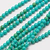 Imported Synthetic Turquoise Bead Strands X-G-A130-2mm-L05-1-2