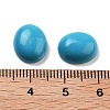 Synthetic Turquoise Cabochons G-G145-01A-35-3