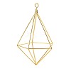 Iron Plant Hangers X-IFIN-N012-02G-1