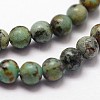 Natural African Turquoise(Jasper) Beads Strands X-G-N0188-02-3mm-3