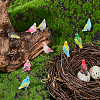 8pcs 8 Styles Synthetic Resin Parrot Display Decorations DJEW-WR0001-03-4