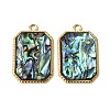 304 Stainless Steel & Natural Paua Shell Pendants SH-CBA7184-01C-G-1