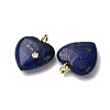 Dyed Natural Lapis Lazuli Pendants G-P588-01G-08-2