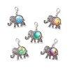 Resin Pendant Docorations HJEW-JM03704-2