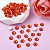 Preciosa® MAXIMA Crystal No Hotfix Flatback Stones Y-PRC-NSS16-90040-2