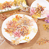 100Pcs Story of Four Seasons PET Stickers Self-Adhesive Stickers DIY-TA0003-69B-5