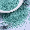 MIYUKI Round Rocailles Beads X-SEED-G007-RR0536-1