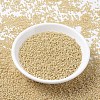 MIYUKI Round Rocailles Beads X-SEED-G007-RR0488-1
