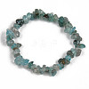 Unisex Chip Natural Apatite Beaded Stretch Bracelets BJEW-S143-54-2