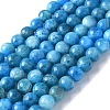 Natural Apatite Beads Strands G-I254-08H-1