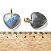 Natural Labradorite Pendants G-G956-B24-G-3