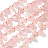 Natural Rose Quartz Beads Strands G-P604-A21-01-2